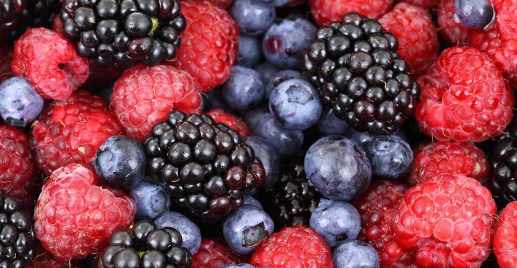 “Fad” Weight Loss Diet "Fad" Weight Loss Diet