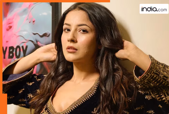 Shehnaaz Gill reveals she betrayed her boyfriend after…, says, ‘I am very…’